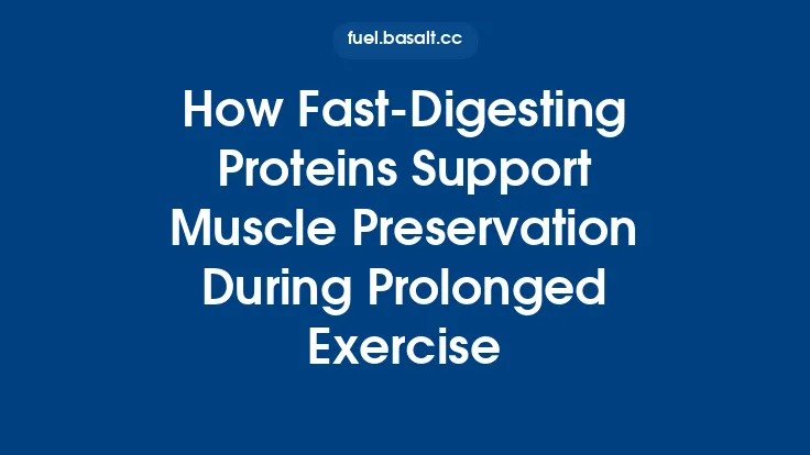 How Fast‑Digesting Proteins Support Muscle Preservation During Prolonged Exercise Thumbnail